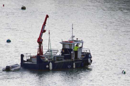 07 January 2022 - 09-07-52
Lots of building deliveries are done from the river and Warfleet Creek gets more that its fair share. This workboat MC-1 was carring some railings. Whilst it looks like the swimmer if waving a fist, the boat had slowed down a long way before. So, it's probably a wave of thanks.
---------------------
Boat and swimmer in river Dart.